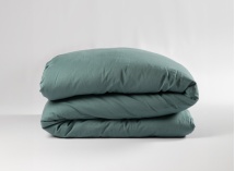 Housse de couette 220x240 Coton Bio - Eucalyptus 3