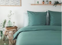 Housse de couette 220x240
WILLY Eucalyptus - 2