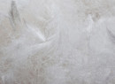 Oreiller adulte 50x70cm Duvet et Plumes - 4
