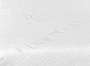 Matelas bébé Bambou 40x80cm - 2