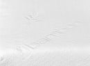 Matelas bébé Bambou 40x80cm - 2