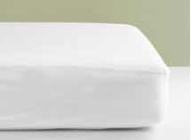 Protège matelas 160x190/200cm WILLY Coton Bio - 1