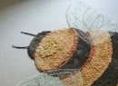 Tapis enfant en coton abeille BEE - 2