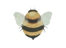 Tapis enfant en coton abeille BEE - 4