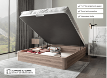 Lit coffre 160 x 200 cm BASTIA Chêne naturel - Ouvert