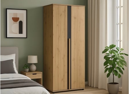 Dressing penderie 2 portes PAVEL - 1