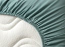 Drap housse 90x190 Coton Bio - Eucalyptus - 2