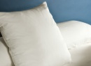 Taie d'oreiller 60x60 Coton Bio - Ecru 1