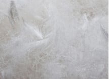 Oreiller adulte 60x60cm Duvet et Plumes - 4