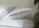 Oreiller adulte 60x60cm Coton Bio - 5