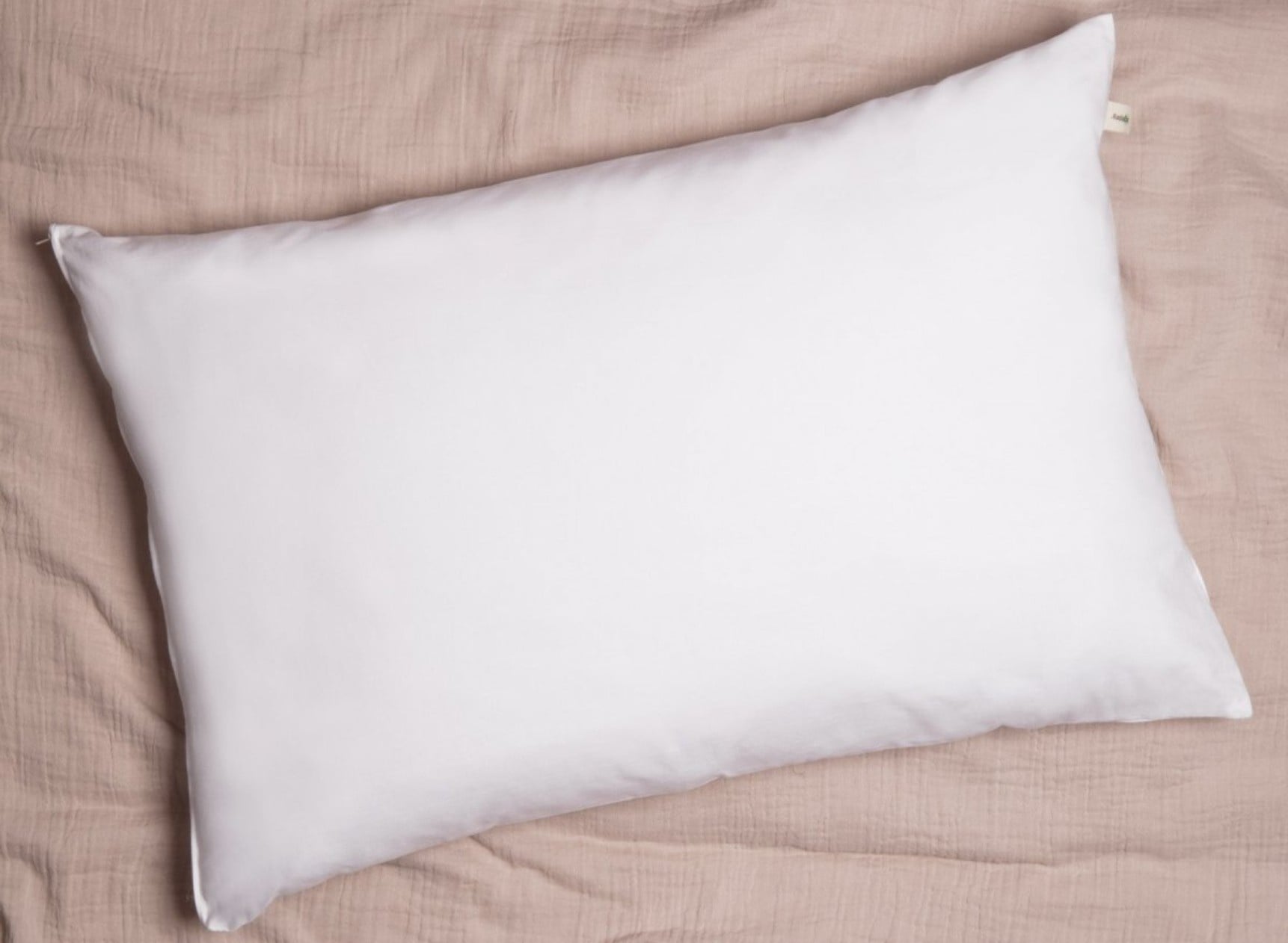 Oreiller adulte 50x70cm Coton Bio - 1
