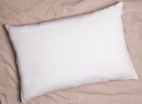 Oreiller enfant 50x70cm Coton Bio - 3