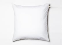 Oreiller adulte 60x60cm Duvet et Plumes - 1