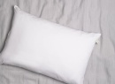 Oreiller adulte 50x70cm Duvet et Plumes - 3