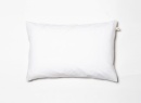 Oreiller adulte 50x70cm Duvet et Plumes - 1