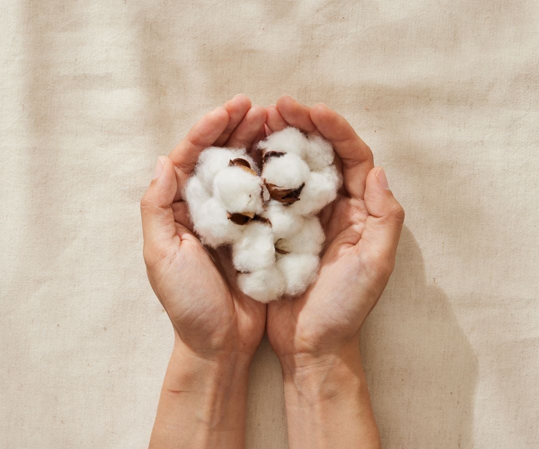 coton-bio-nateo