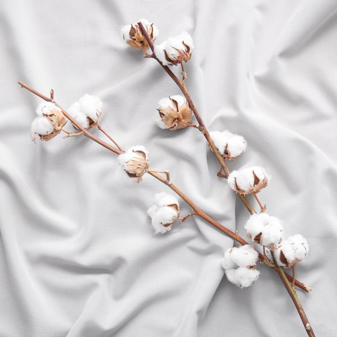 draps en coton chambre bébé