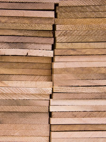 Reconnaître les essences de bois : le guide simple et pratique