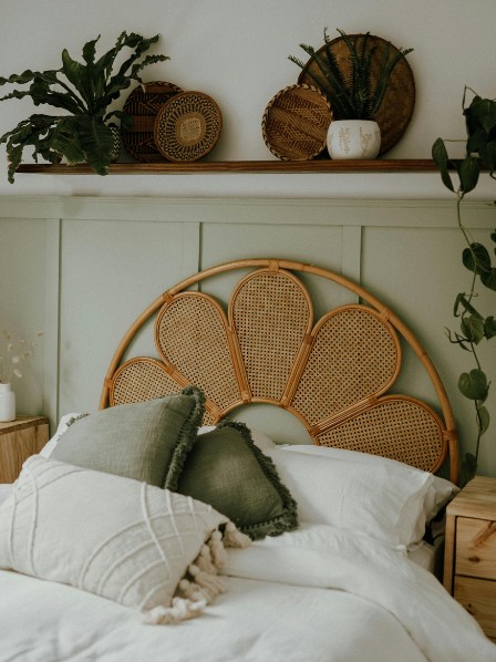 Quelle plante choisir pour une chambre ? Sélection santé & bien-être