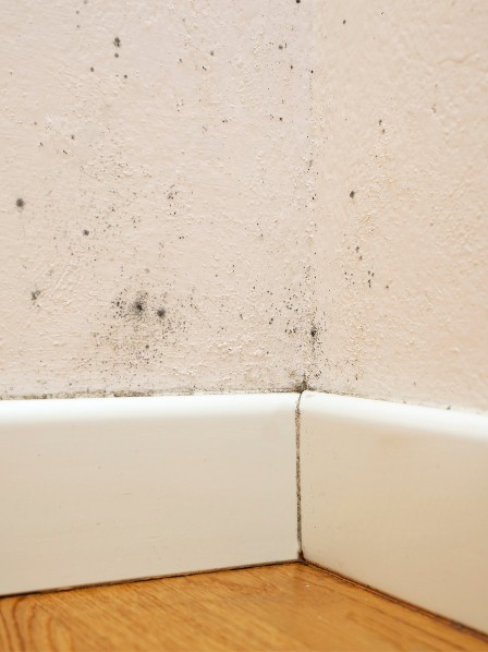 Comment lutter contre la moisissure dans une chambre : Guide complet