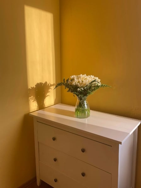 Quelle couleur pour chambre adulte ?
